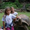 île de Rodrigues : plein de reptiles très sympas !!!