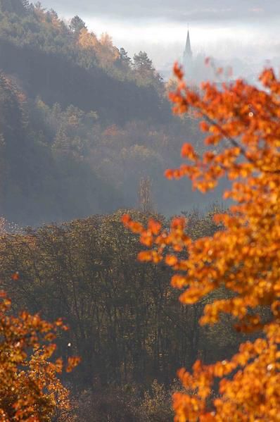 De Chapelle des Bois au Grand Colombier, de Pont de Roide à Pontarlier, voici en quelques images le massif du jura