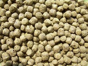The superiorities of extruding fish feed pellets