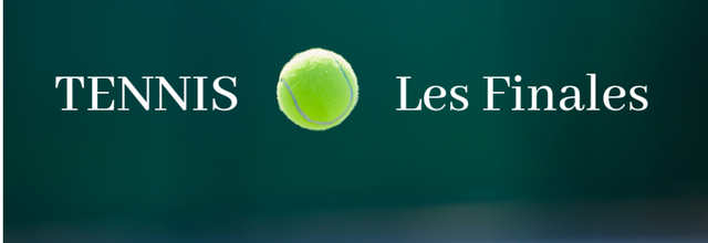 Tennis - Les finales des Rolex Paris Masters, ATP Masters de Londres et Coupe Davis à suivre sur France Télévisions