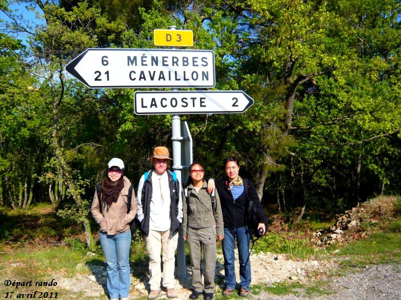 Circuit à la Forêt de Cèdres (Petit Luberon) au départ de Lacoste.