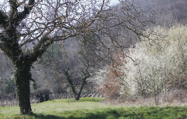 Éclat de saison