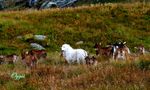 Ballade dans la Vanoise