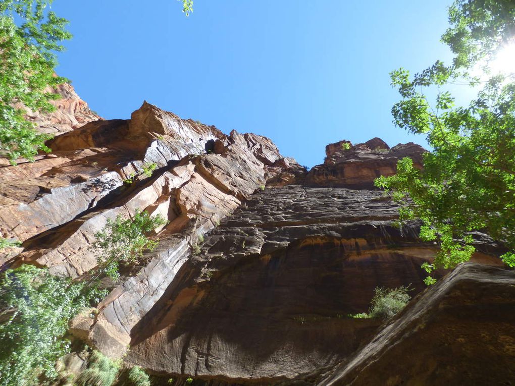 Road trip aux USA, étape 5 : Zion canyon