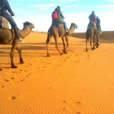 day  tour from marrakech