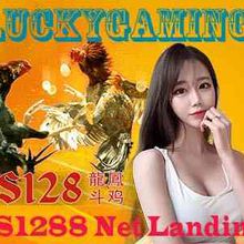 S1288 Net Landing Sabung Ayam Tajen Online