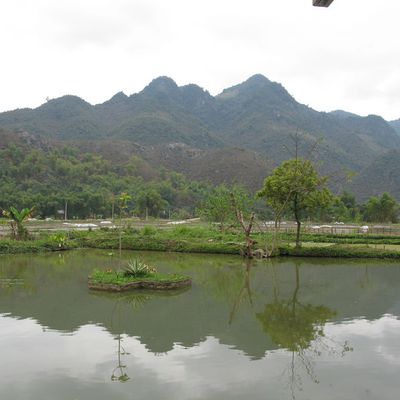 Mai Chau : Au pied des montagnes du nord...