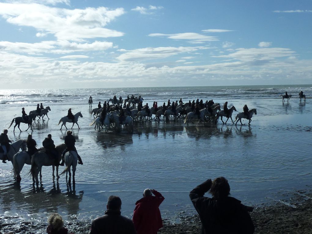 Album - Camargue