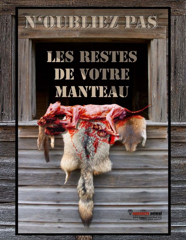 ANIMAUX MARTYRS