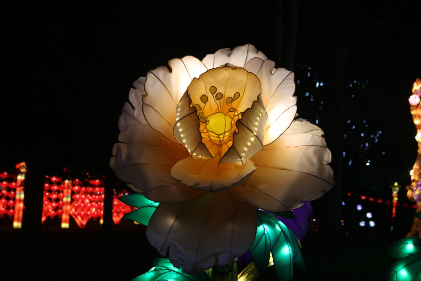 Divers - Festival des lanternes