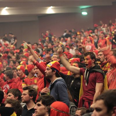 Belgique : Un coup à faire ?