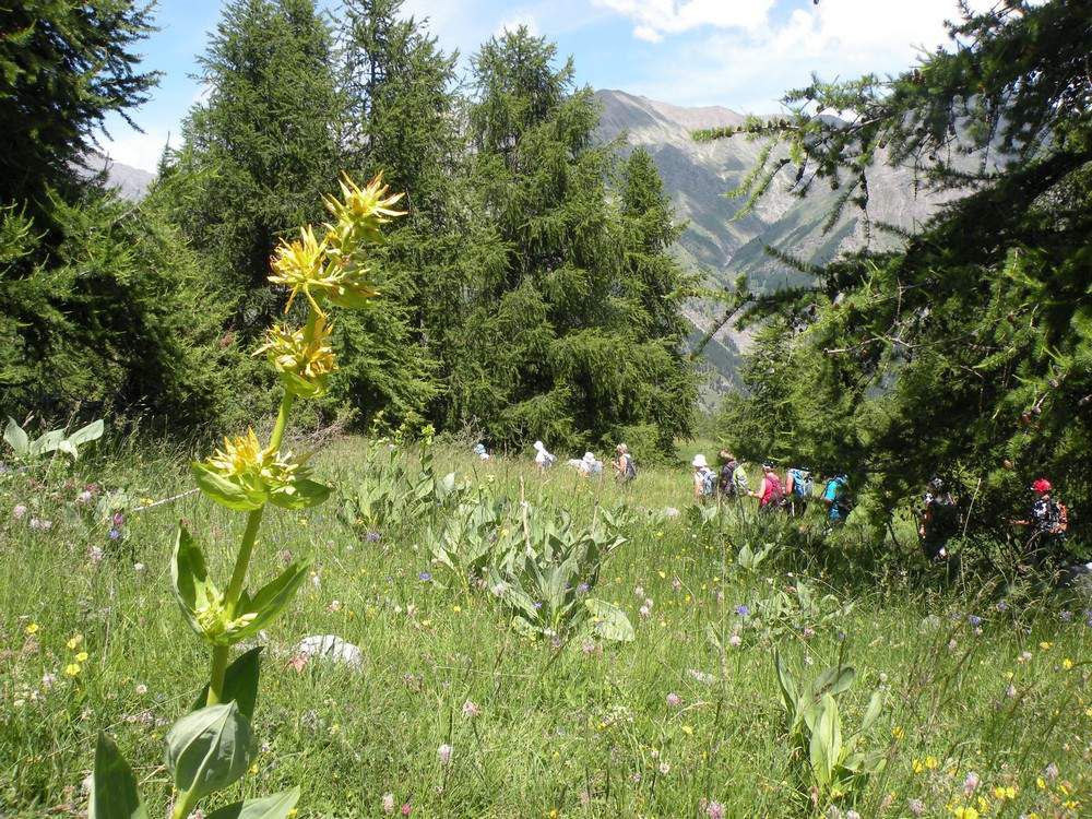 182 ligériens en séjour rando dans les Hautes-Alpes