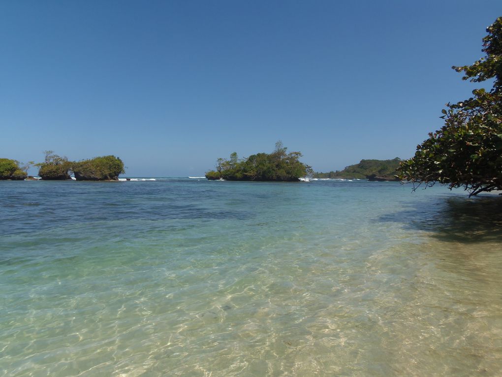 Panama city / San Blas / Isla Bastimentos