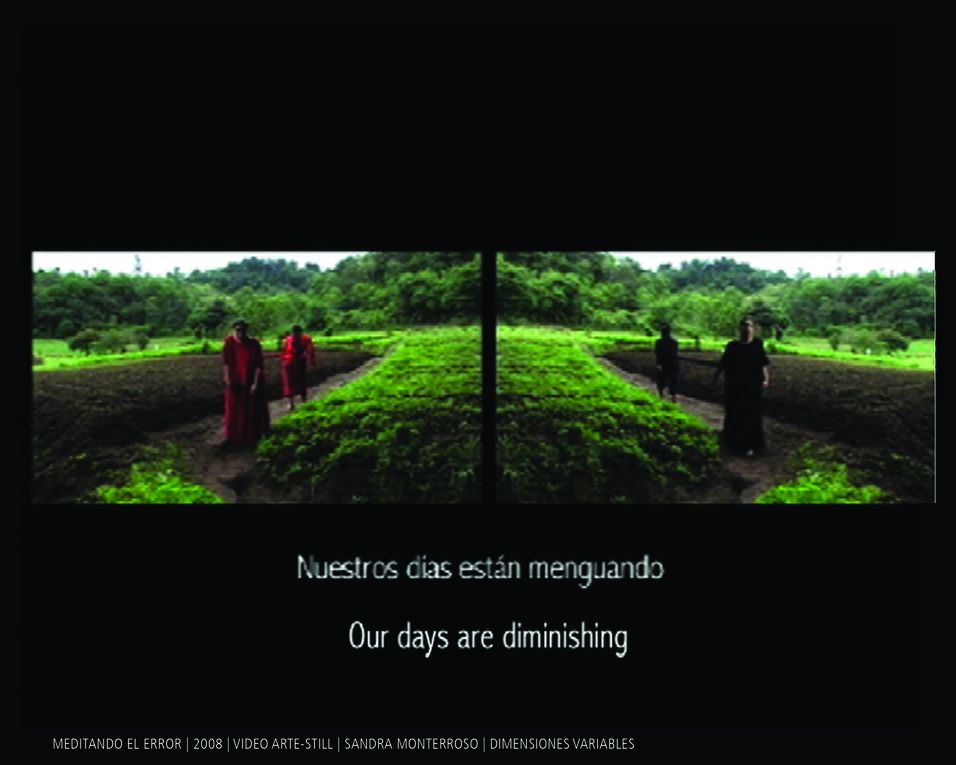 Still/ Alexia Miranda (Imagenes contemplativas I/ II - Carrusel); Patricia Villalobos E. (Alamar-asea; Aguasmalas); Sandra Monterroso (Meditando el error; Sacrificio)