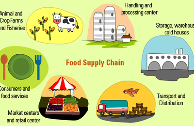 Supply Chain Alimentare: come ottimizzarla