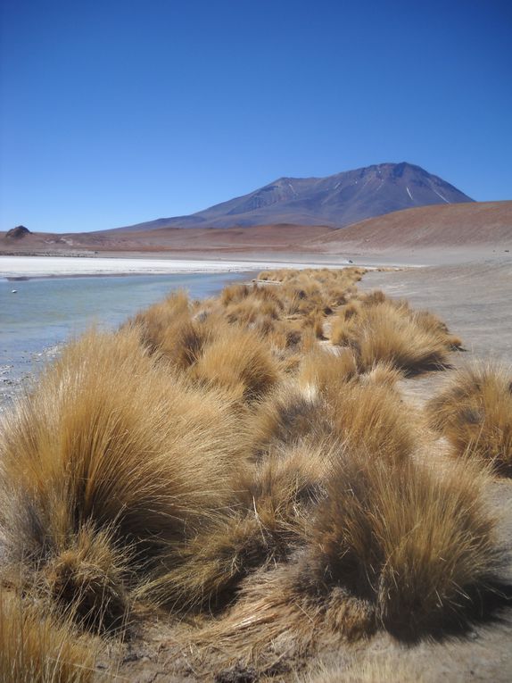 Album - Bolivie--Tupiza--Sud-lipez