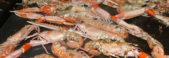 Langoustines sur la plancha
