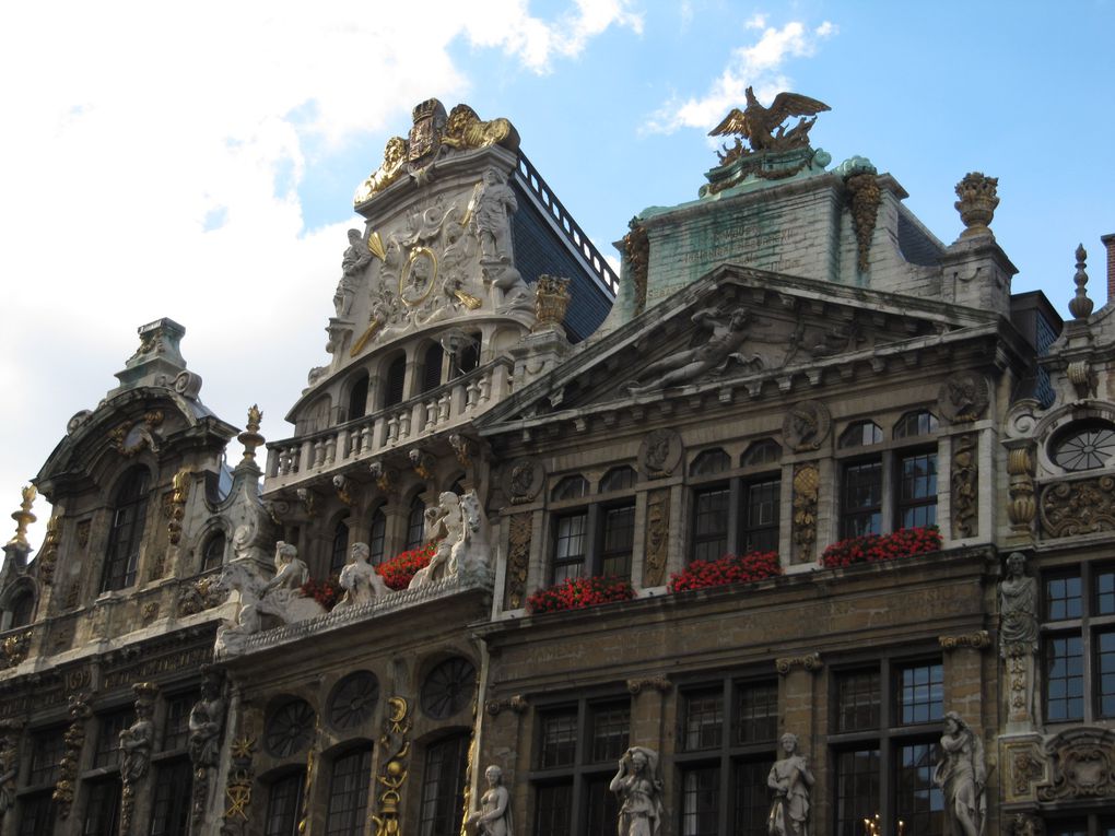 Quelques clichés de la Grand-Place de Bruxelles ensoleillée.