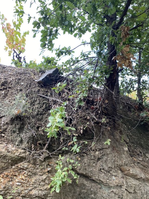 La balade à la recherche des trésors des bois à Montner (27 photos) dans les yeux de Lucie