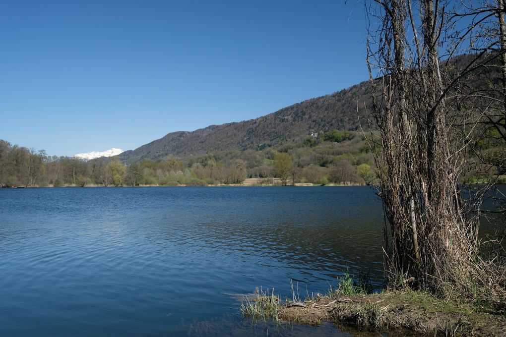 COMBE DE SAVOIE