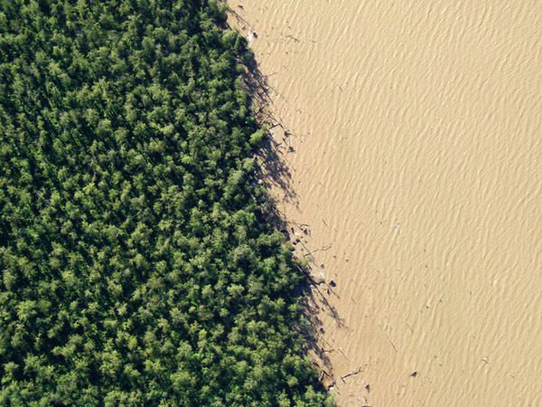 Faune, flore et paysage de Guyane