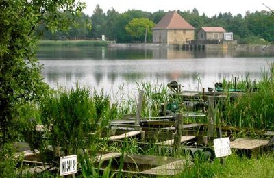 Etang du Stock