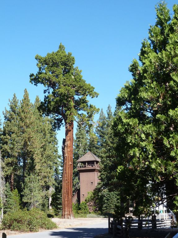 Album - Lake Tahoe, CA