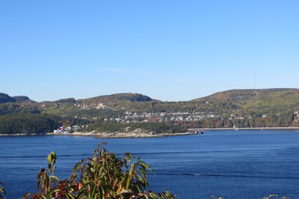 Tadoussac, estuaire aux baleines