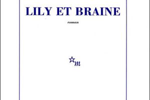 Lily et Braine - Christian Gailly (2010)