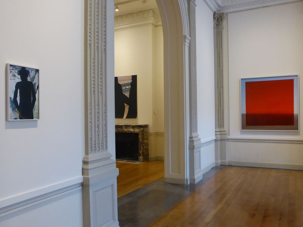 Vues de l'exposition Viviane Sassen│UMBRA, Atelier Néerlandais, Paris © Le Curieux des arts Gilles Kraemer, présentation presse, 10 septembre 2015 