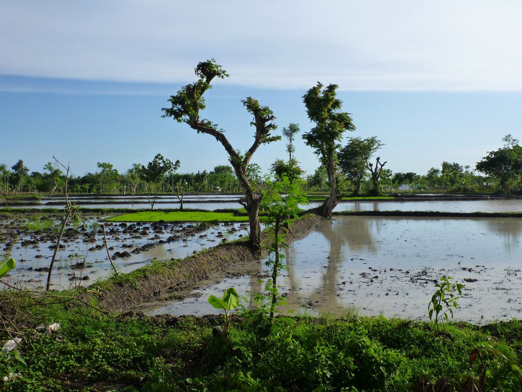 Lombok (Indonésie), décembre 2014