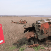 Guerre en Ukraine : les conséquences désastreuses du conflit sur l'environnement