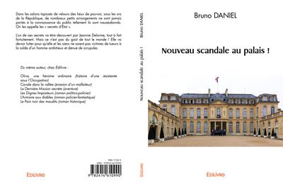 Voici le lien du roman " Nouveau scandale au Palais" https://www.edilivre.com/nouveau-scandale-au-palais-bruno-daniel.html