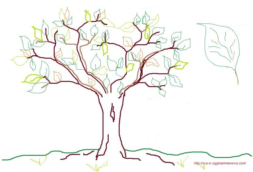 Come Disegnare Un Albero Tutorial Albero Verde O Invernale Disegni Da Scaricare Oggi Mamma News