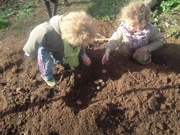 Voici quelques photos des arri&egrave;res petits enfants... Bon il en manque pas mal. J'attends des photos afin qu'il soient tous repr&eacute;sent&eacute;s...