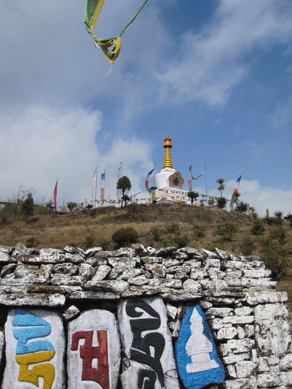 Album - INDE--Darjeeling---Treck