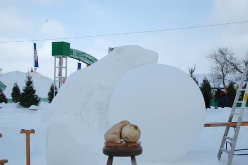 Carnaval d'hiver à Québec city