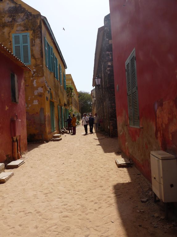 Album - Goree : le souvenir et les artistes