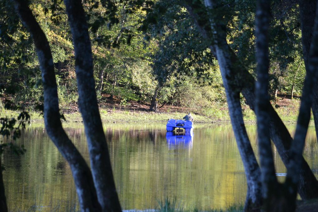 L'ETANG DU MERLE à Crux La Ville (Nièvre)