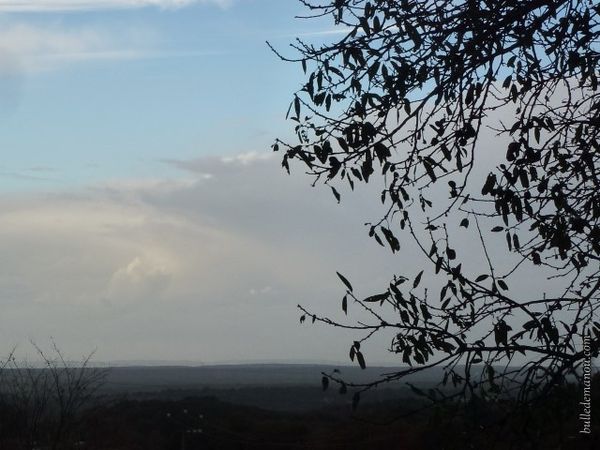 Temps gris et nuageux cette semaine ! Pluies violentes et tonnerre étaient au rendez-vous !