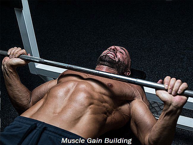 Muscle gain supplements for skinny guys