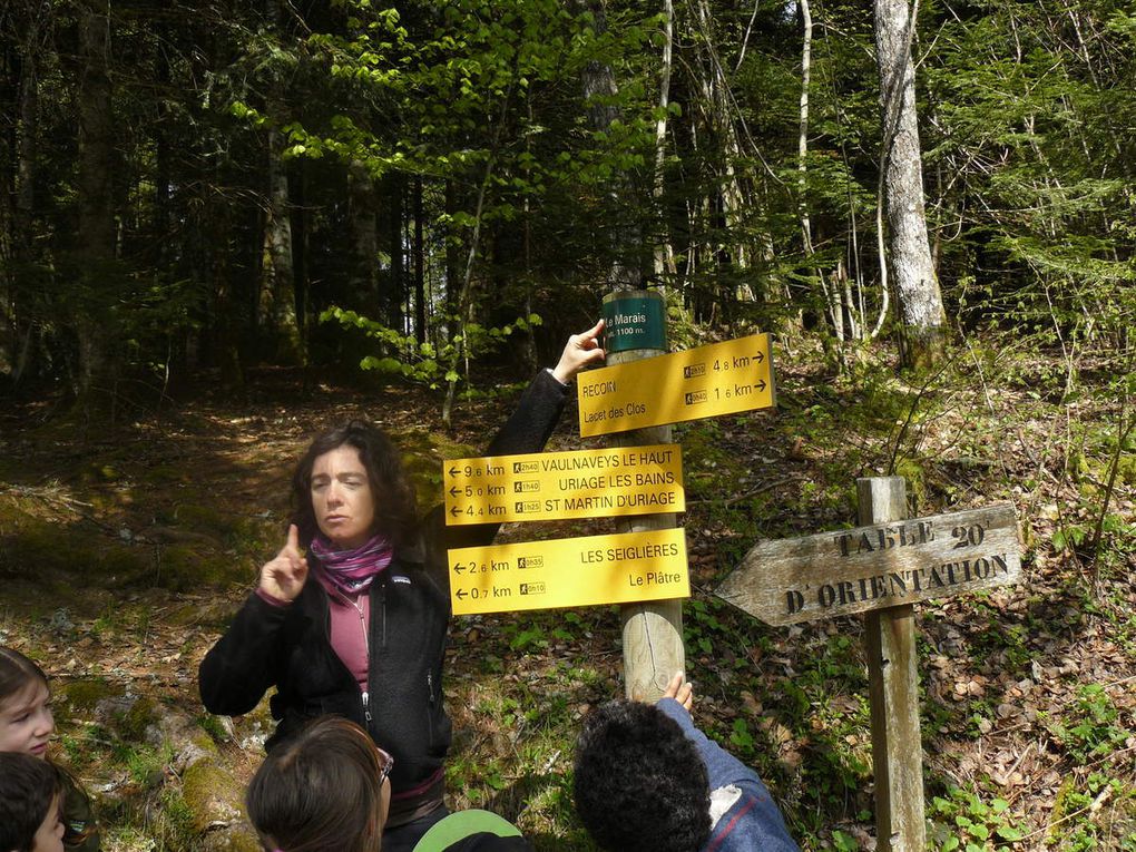 Photos - Sortie au Marais des Seiglières