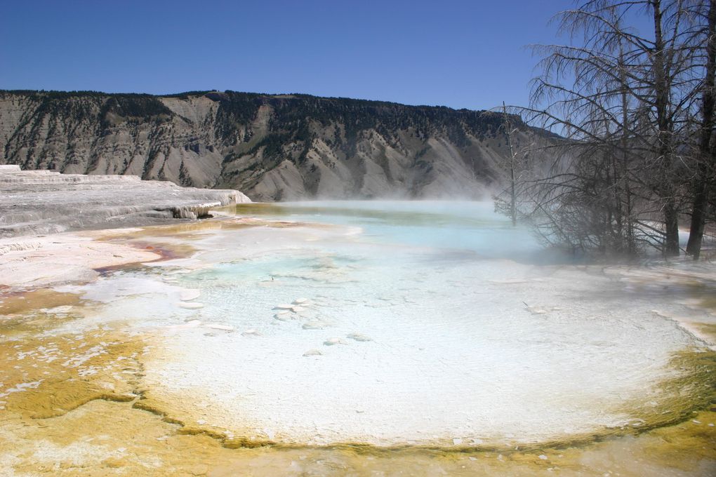 Album - Yellowstone NP, 2004