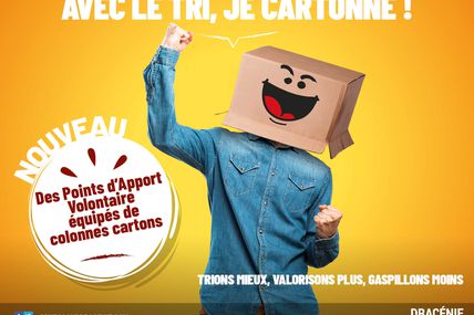 Collecte des cartons