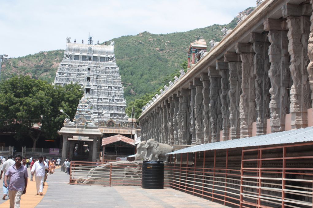 Le complexe de temple, dédié au Lingam de Shiva.