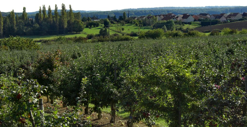 Ce jardin appartient au Conseil Régional de la Lorraine. Il se veut ainsi être une vitrine de ce qui se fait de mieux chez nous... Appartient au groupe transfrontalier des Jardins sans Limites...