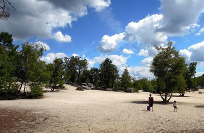 Escalade et chateaux de sable à Fontainebleau
