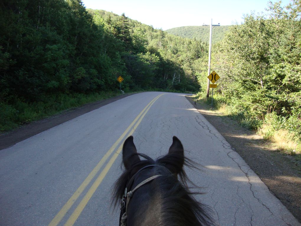 Album - Capstick, NS