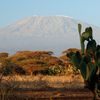 Voyage au coeur de la savane africaine...