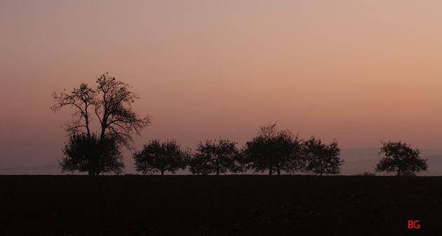 lever du soleil en automne